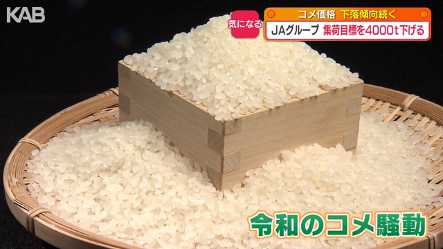 令和の米騒動ってこれじゃまるでただのバカじゃん