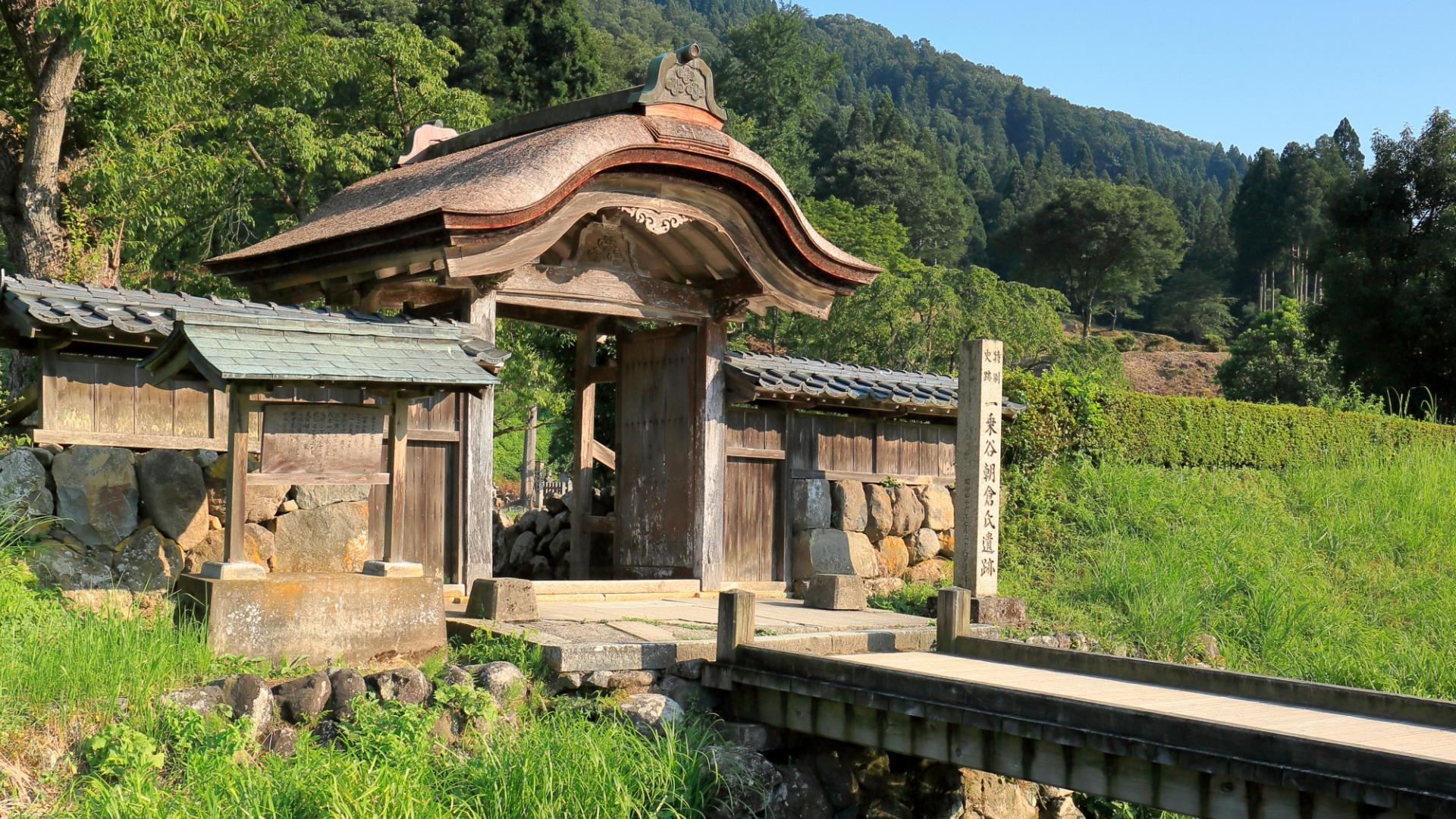 朝倉景鏡って笑ってしまう