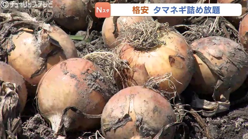 タマネギとじゃがいもの味噌汁って好き？