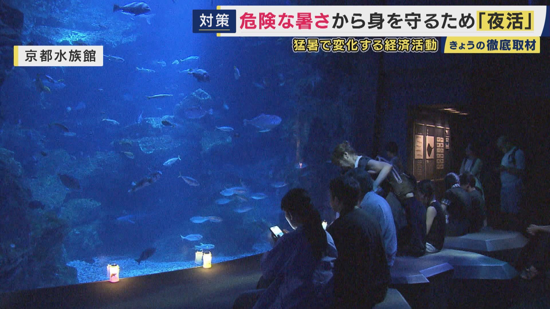 連日の猛暑に新たなライフスタイル「夜活」　猛暑を逆手にとった夜のコンテンツが拡大