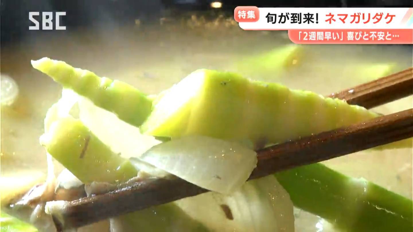 ネマガリダケの豚汁はマジで旨い。