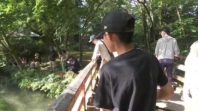 サケ科の魚ってムニエルが旨いのはなんでなの？