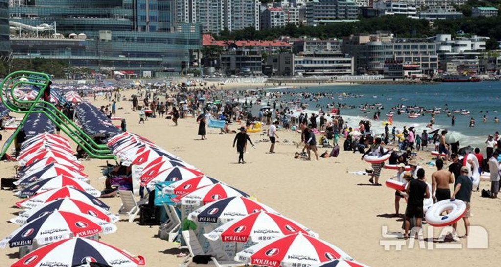 韓国、海水浴場のパラソルやお墓にも住所付与へ…「特定位置住所」導入推進