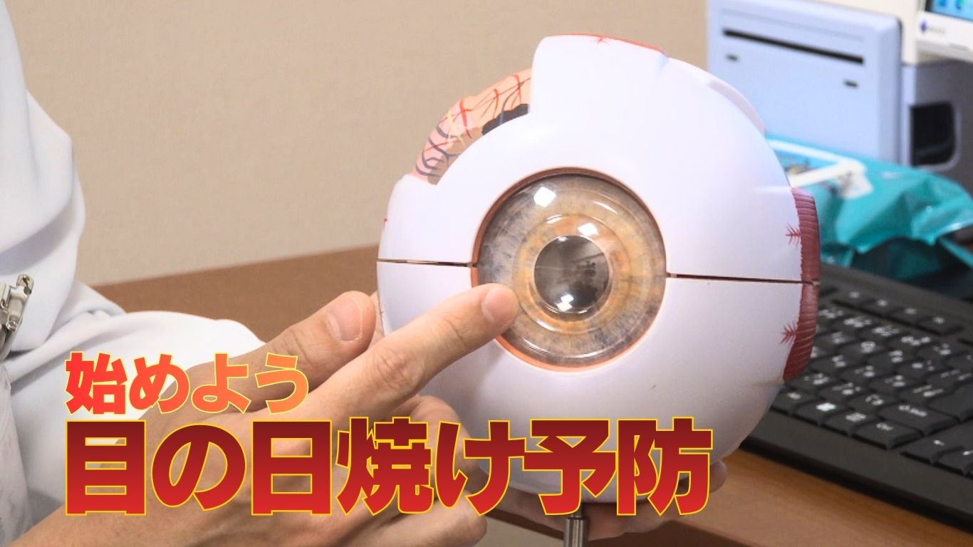 サングラスをしないと目の健康寿命が短くなるかも