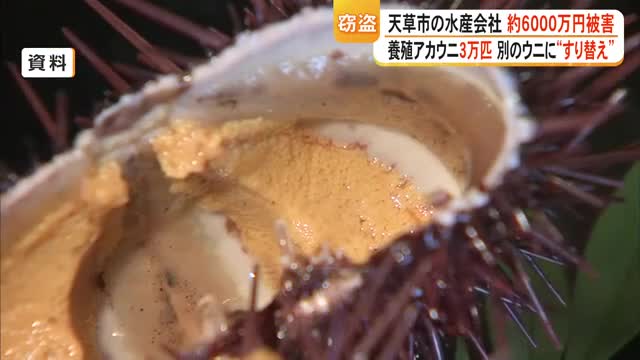 昔こういう枠に入ったウニ買って食ったけど一段食って飽きたな