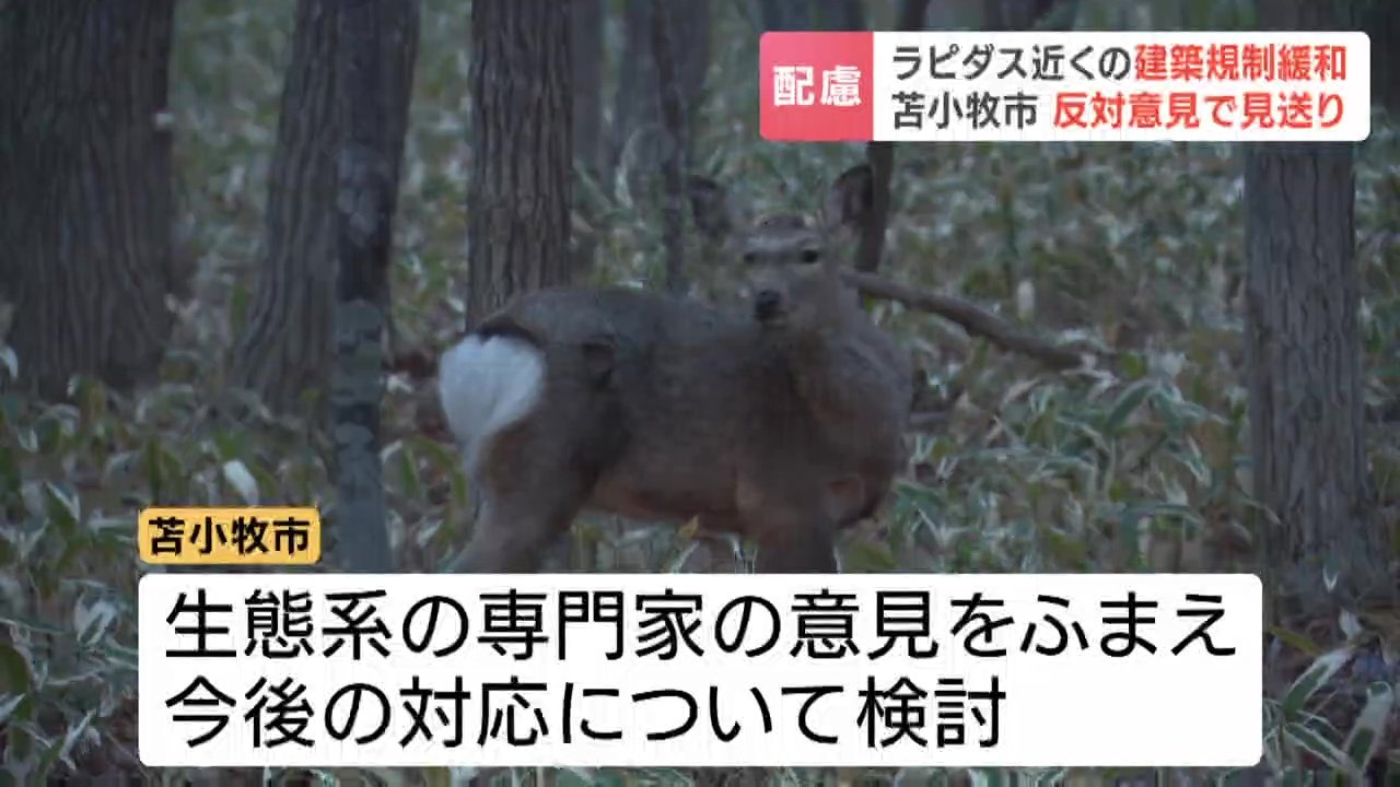 ラピダス破綻か、メガソーラー反対団体が建築中止を要求「希少鳥類の生息に影響を及ぼす恐れ」