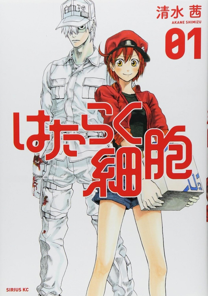 人間の身体には、いつもガンが出来るんだが白血球が異物として殺してる。追いつかなくなったのがガン。