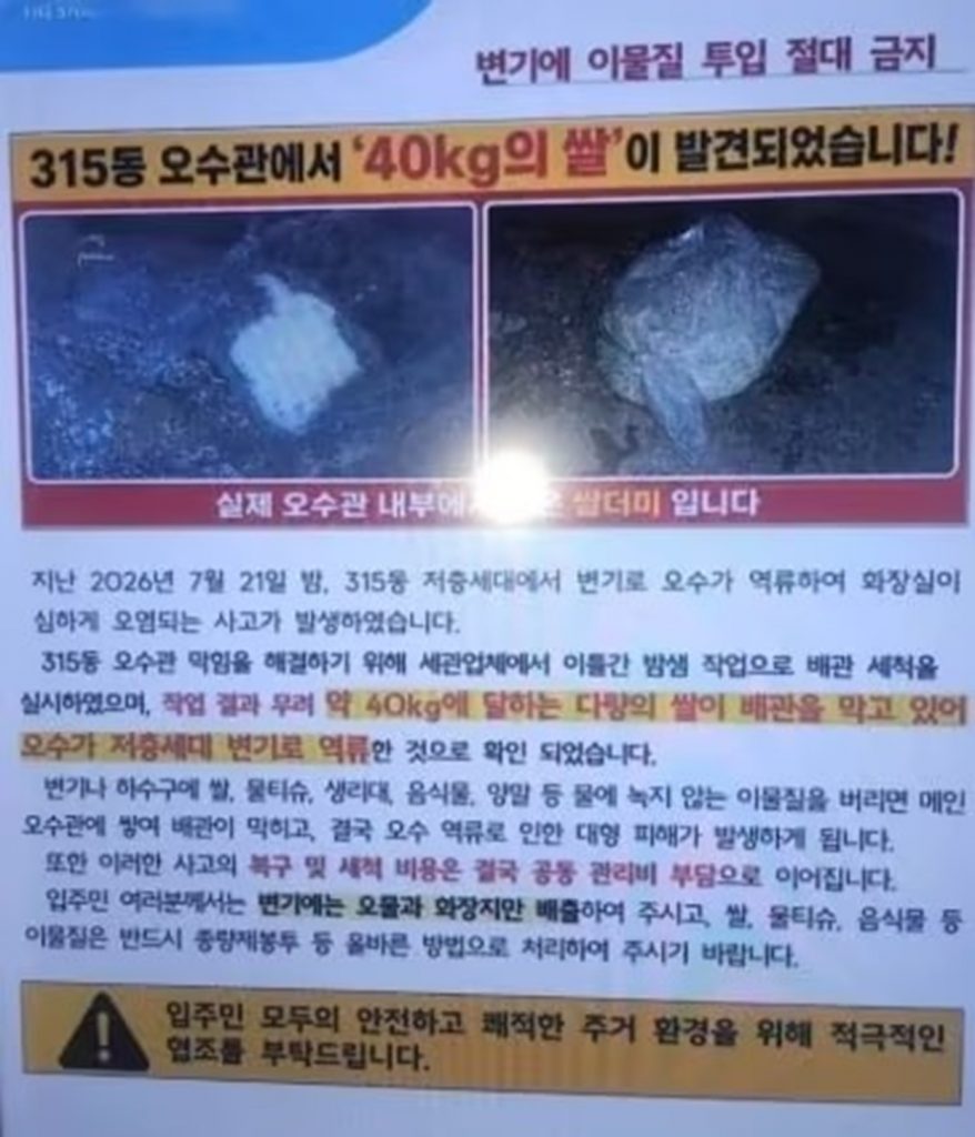 米をトイレに流すと糞になる