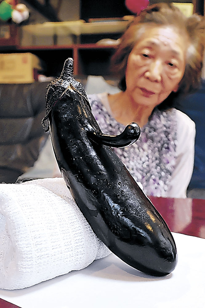 ナスに長い鼻、まるで天狗？　加賀の加納さん、畑で発見