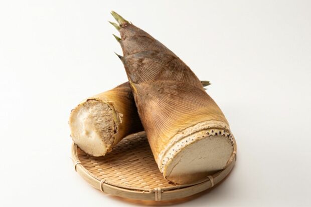 タケノコって1日に1メートル伸びるんだぜ